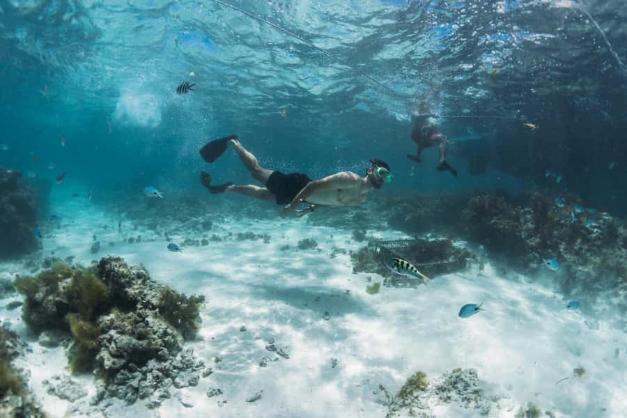 North East of Mauritius: Catamaran Cruise w/ BBQ Lunch - Price and value: is $80 per person a fair deal