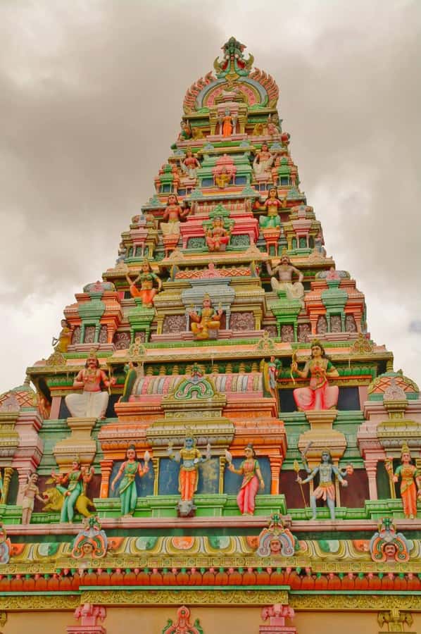 North of Mauritius All inclusive Full day Tour with Lunch - Lunch in Port Louis: Typical Mauritian, With Non-Alcoholic Drinks Included