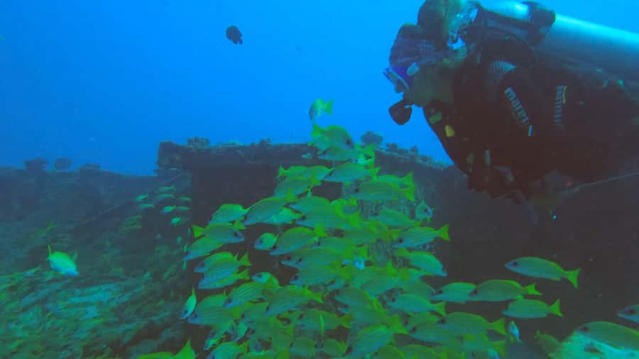 North of Mauritius: Scuba Diving Tour - Duration and Planning: How to Fit This into Your Day