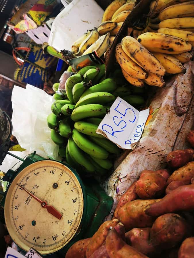 North Tour Of Mauritius With Street Food tasting - Botanical garden walk, and the ticket detail to watch