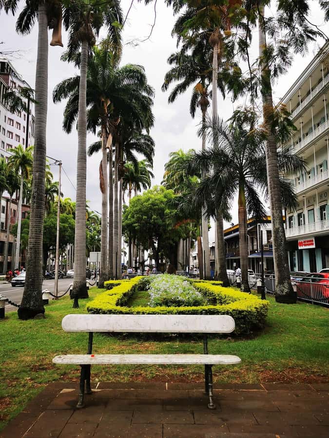 North Tour Of Mauritius With Street Food tasting - Guide-led explanations in English, French, or Hindi, and the real difference it makes