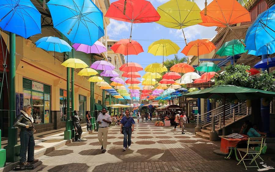 North Tour: Port Louis, Caudan, Citadelle, Botanical Garden - Key points at a glance