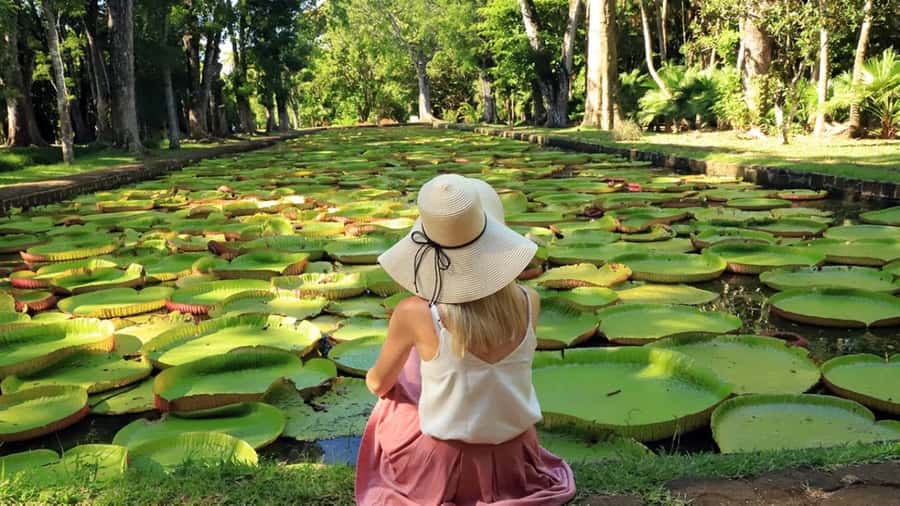 North Tour: Port Louis, Caudan, Citadelle, Botanical Garden - Citadelle Fort, a UNESCO World Heritage stop you can feel