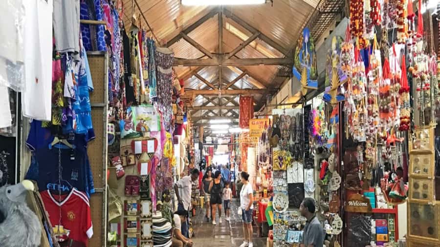 North Tour: Port Louis, Caudan, Citadelle, Botanical Garden - Who should book this North Mauritius tour