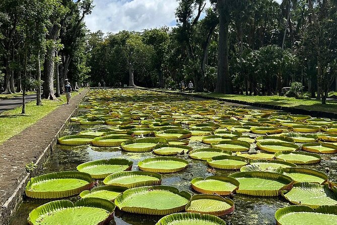 Northern Mauritius Private Tour w/ Port louis Market and Beaches - Port Louis and Fort Adelaide: the fortress first, then the market