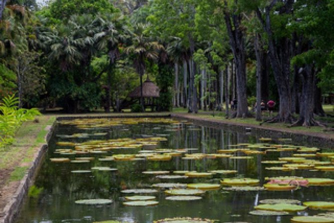 Port Louis and Pamplemousses Garden - A full day trip - Le Caudan Waterfront and Victoria Urban Terminal: shopping time that also helps you orient