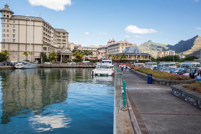 Port Louis and Pamplemousses Garden - A full day trip - Port Louis city time: market energy, Champ de Mars, and practical photo breaks