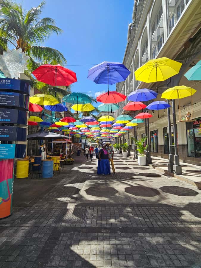 Port Louis: Mont Choisy, Botanical Garden, and Church Tour - How This Private North Mauritius Day Actually Runs
