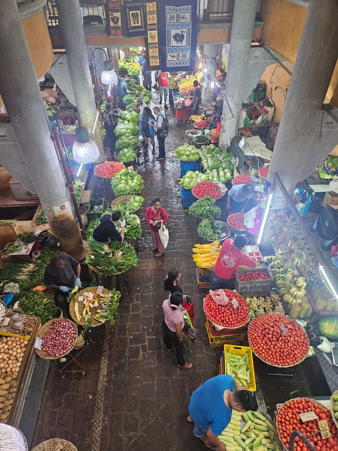 Port Louis: Mont Choisy, Botanical Garden, and Church Tour - My Booking Verdict: Should You Take This North Mauritius Day?