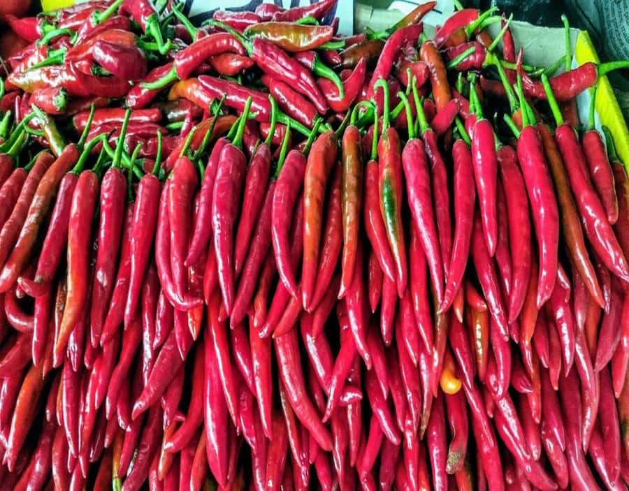 Port Louis: Northern Treasures Private Tour - Photography and Timing: How to Capture the Day Without Burning It Out