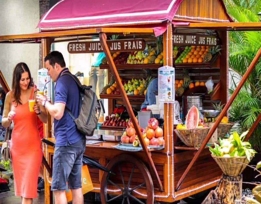 Port Louis: Northern Treasures Private Tour - Private Guide Value: When It’s Not Just Driving You Around
