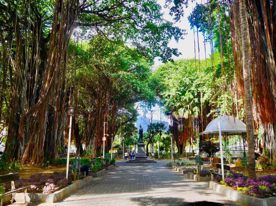 Port Louis: Street Eats and City Highlights Walking Tour - Getting Your Bearings in Port Louis, One Street at a Time
