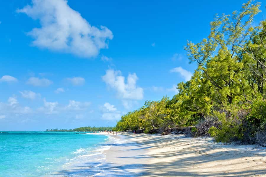 Private Catamaran Charter to Ile aux Cerfs - Who This Private Charter Fits Best
