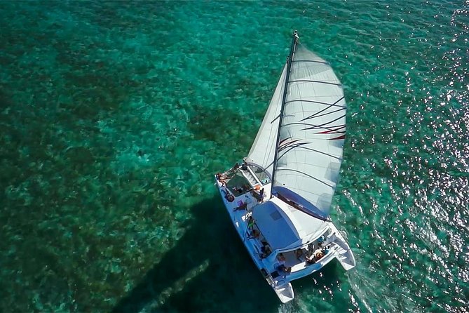 Private Charter Full Day Cruise: Île aux Cerfs - Snorkeling Spot and Wildlife: More Than a Pretty Cruise