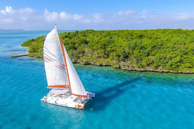 Private Charter Full Day Cruise: Île aux Cerfs - Pointe Jerome Start: Getting On Board and Settling In