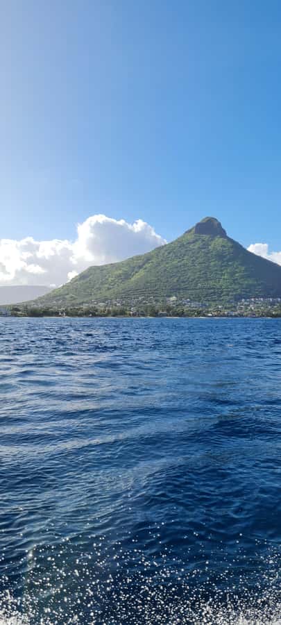 Private Dolphin Snorkeling Tour. Equipment available Free. - Dolphin snorkeling with guide supervision: what to expect in the water