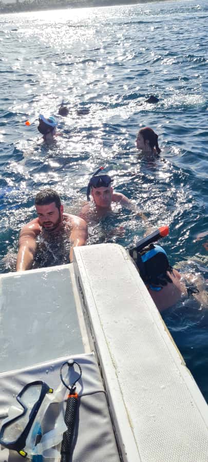 Private Dolphin Snorkeling Tour. Equipment available Free. - Timing and spot choices: the value of flexibility