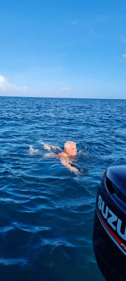 Private Dolphin Snorkeling Tour. Equipment available Free. - Who should book this dolphin snorkeling tour