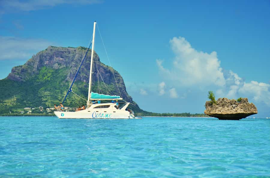 Private Dolphin Swim/Snorkeling & Lunch on Benitiers island - The Big Picture: What This Day Is Really Like