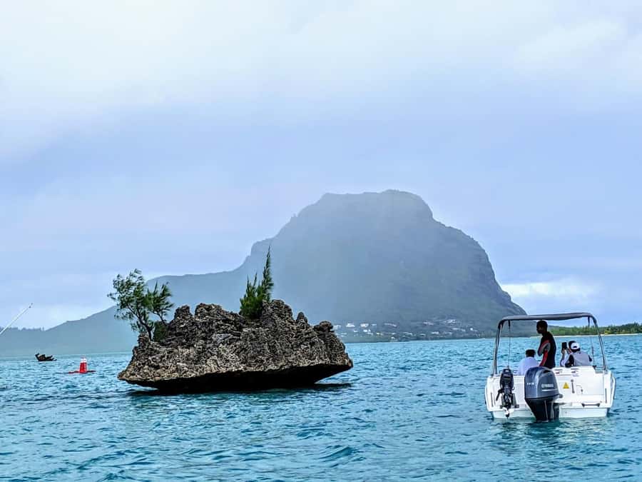 Private Dolphin Swim/Snorkeling & Lunch on Benitiers island - Dolphins in the Bay of Tamarin: How to Set Expectations