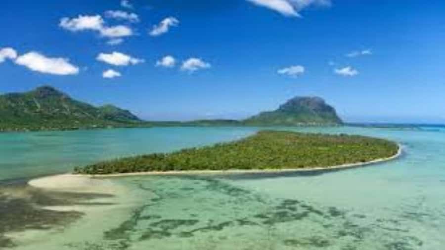 Private Dolphin Swim/Snorkeling & Lunch on Benitiers island - Gear, Comfort, and What to Pack
