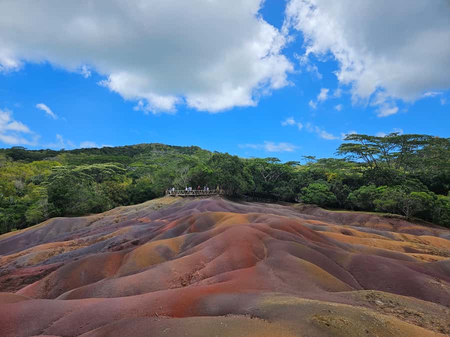 PRIVATE FULL-DAY NORTH AND SOUTH TOUR - Pamplemousses Botanical Garden: Your Nature and Photo Anchor