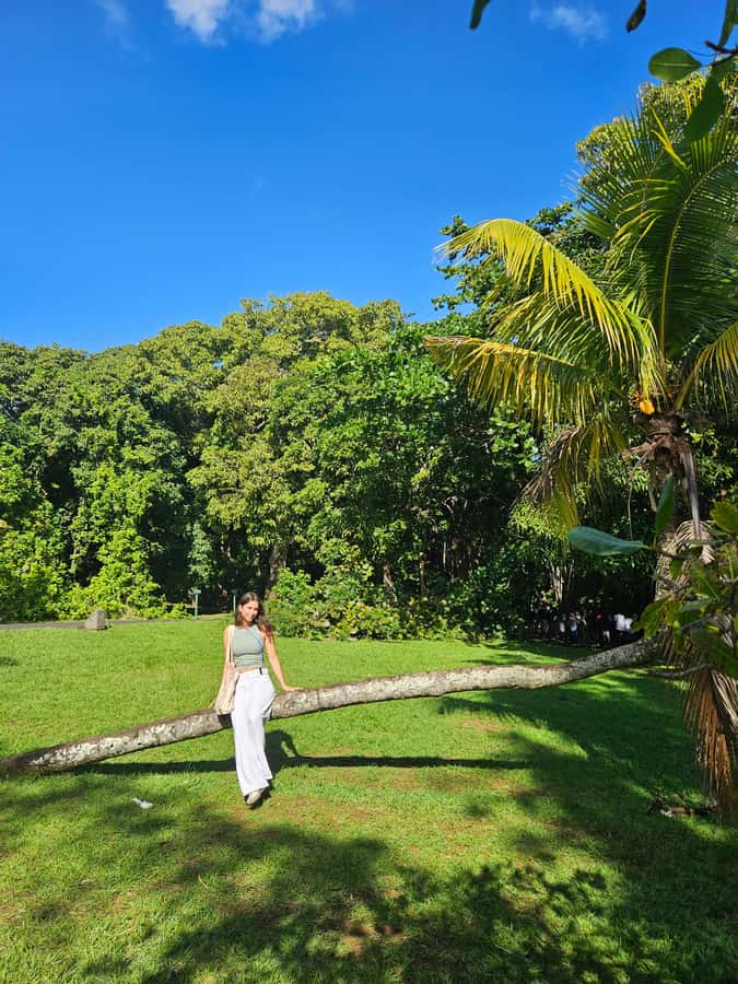 PRIVATE FULL-DAY NORTH AND SOUTH TOUR - Rhumerie de Chamarel on Request: Optional, But Worth Knowing