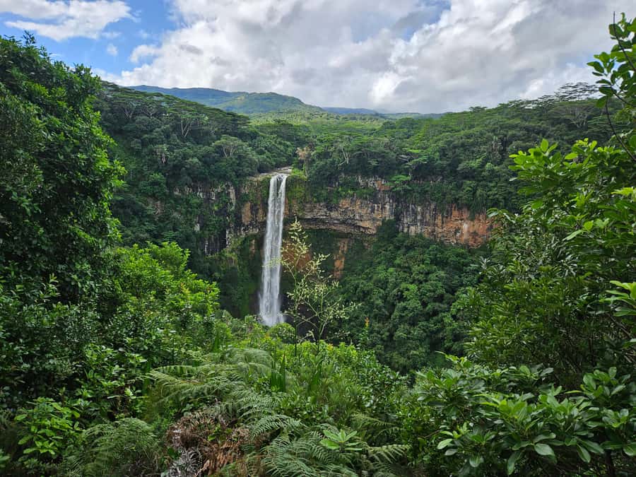 PRIVATE FULL-DAY NORTH AND SOUTH TOUR - Hotel Pickup to Port Louis: Easy Start, Big Color