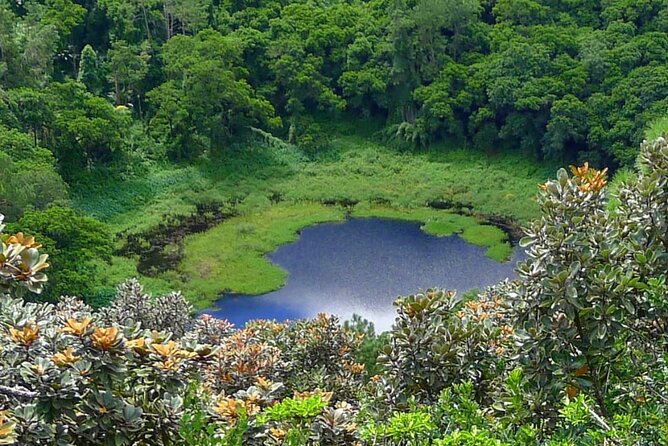 Private Full Day Tour in Mauritius - Port Louis pickup and how this day stays comfortable