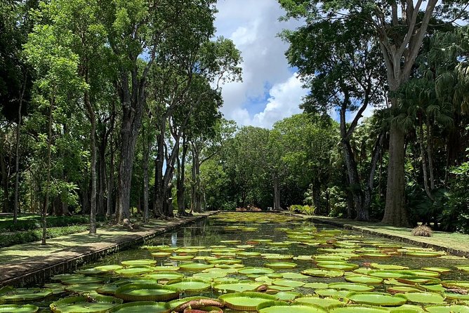 Private Guided Tour of Northern Mauritius with Shopping in Port Louis - Pamplemousses Botanical Garden And Its Spice Garden Moment