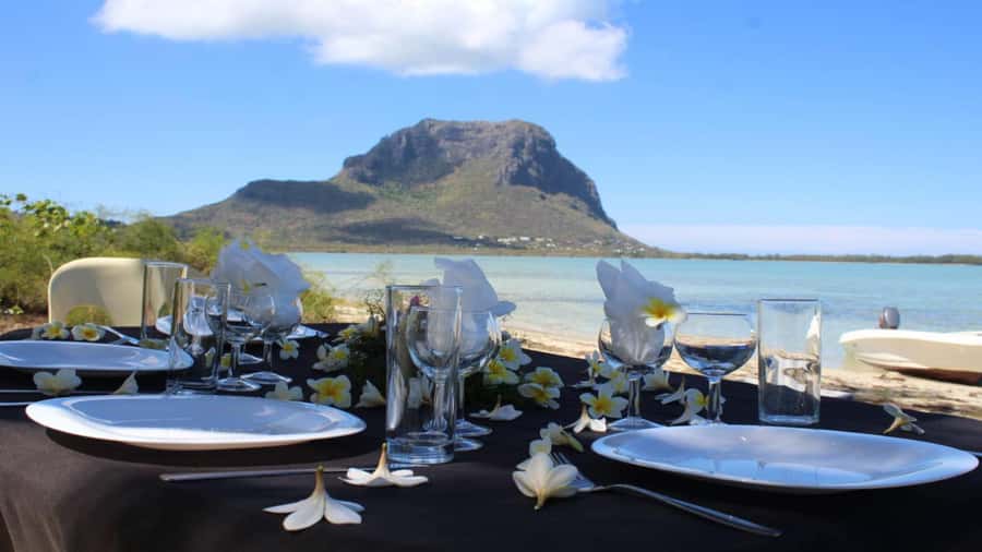 Private Île aux Bénitiers Boat: Dolphin Snorkeling & Lobster - Key highlights to know before you go