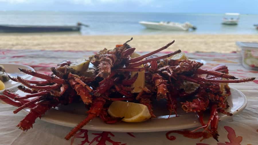 Private Île aux Bénitiers Boat: Dolphin Snorkeling & Lobster - Benitier islet lobster BBQ: what is included and what to expect on the ground