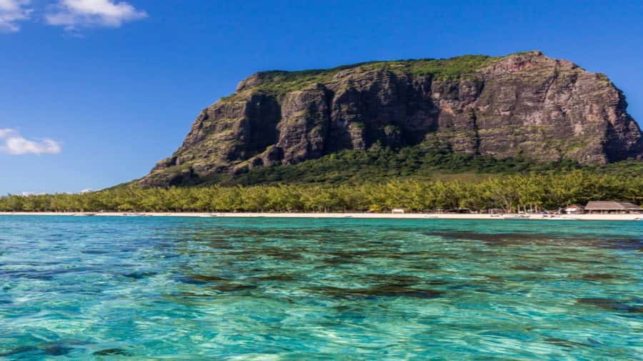 Private Île aux Bénitiers Boat: Dolphin Snorkeling & Lobster - What to pack and how to get the most out of the day