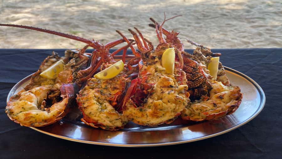 Private Île aux Bénitiers Boat: Dolphin Snorkeling & Lobster - How the 7-hour schedule really feels on a small private boat