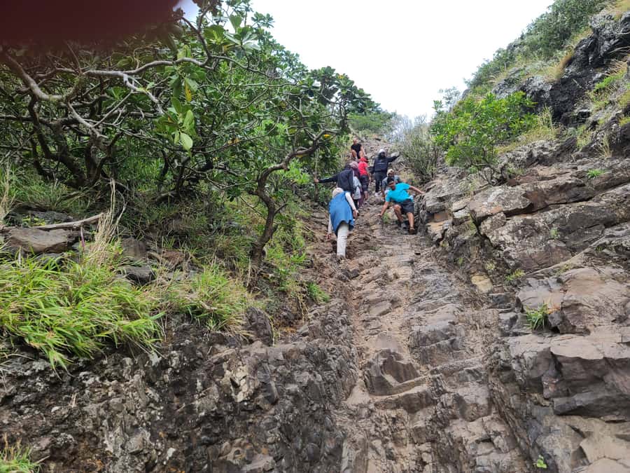 PRIVATE LeMorne Mountain Picturesque Hike-UNESCO Recognised - Price and value: $226 per group up to 4