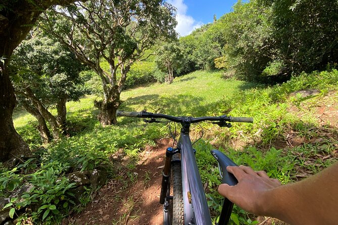 Private Mountain Biking Experience in the Wild South of Mauritius - The ride setup: what you get, and how it helps you enjoy 3 hours