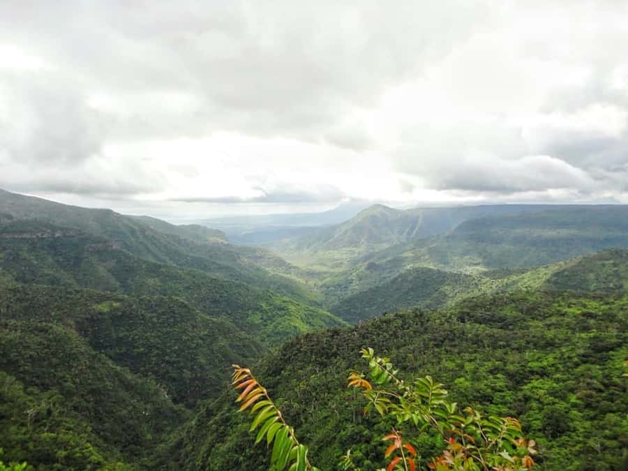 Private Southwest Tour with Local Lunch & Entrance Fees - Trou aux Cerfs Crater Walk: The Dormant Volcano Viewpoint