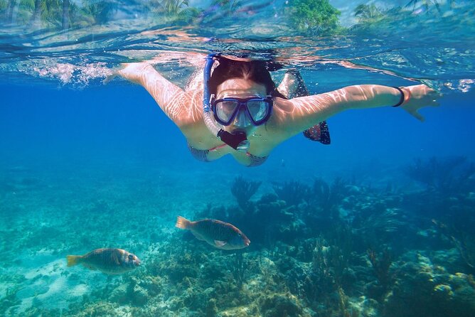 Private speed boat to Ile aux Cerfs full-day Incl: Lunch & Transfer - GRSE Waterfalls from the boat: canal views plus real animal sightings