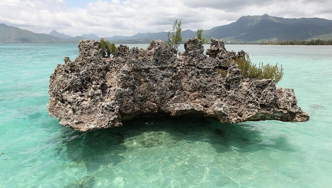 Private Speed Boat Tour and Dolphin Encounter at Ile aux Benitier - Quick checklist before you go