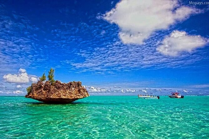 Private Speed Boat Tour and Dolphin Encounter at Ile aux Benitier - Stop 3: Ile aux Benitiers for lunch, drinks, and beach freedom