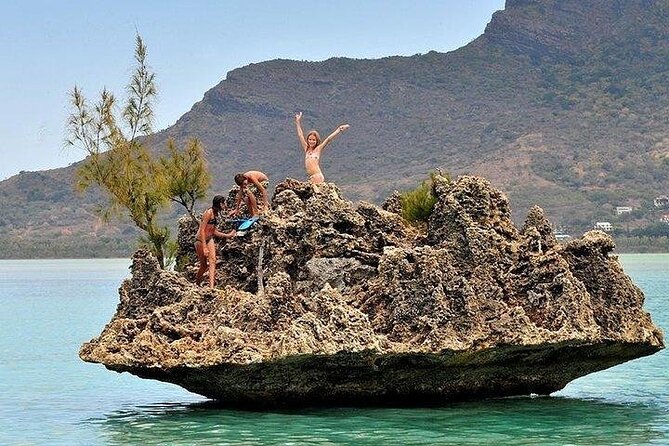 Private Speed Boat Tour and Dolphin Encounter at Ile aux Benitier - The $312.02 price: what you’re really paying for