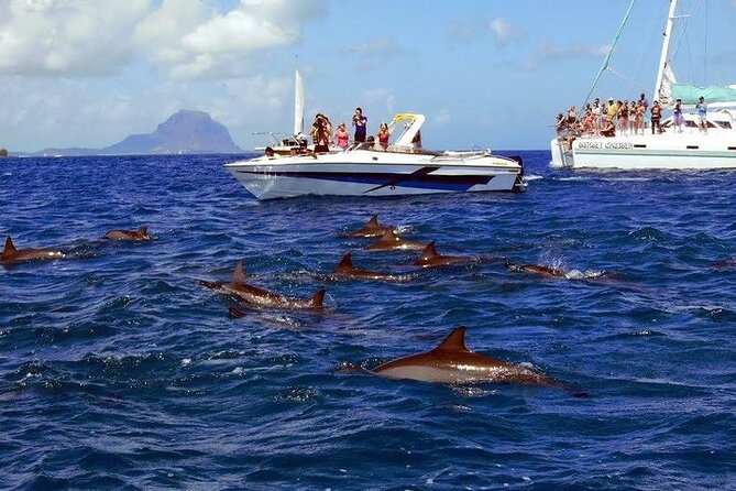 Private Speed Boat Tour and Dolphin Encounter at Ile aux Benitier - What to watch for: towels, timing, and service style