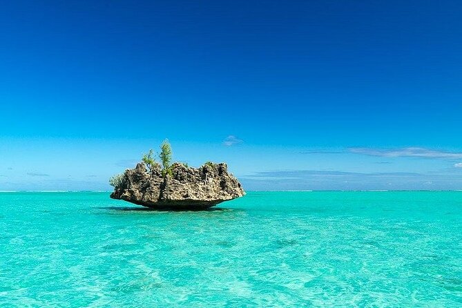 Private Speed Boat Tour and Dolphin Encounter at Ile aux Benitier - FAQ