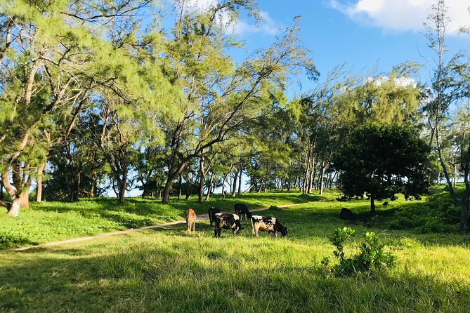 Quad Excursion South Mauritius 35km - Stop 3: Pont Naturel, the Natural Bridge, and Fresh Tasting Stops