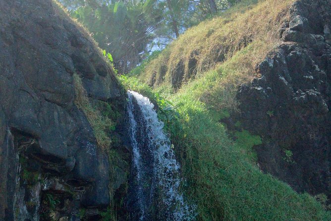 Randonnée - Le Sud Sauvage - Why this Mauritius hike feels different in the right way