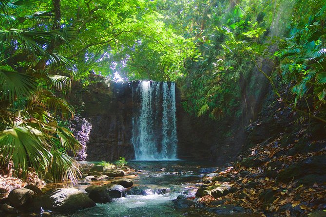 Randonnée - Le Sud Sauvage - Stop 1, Mauritius: the whole point is the trail experience