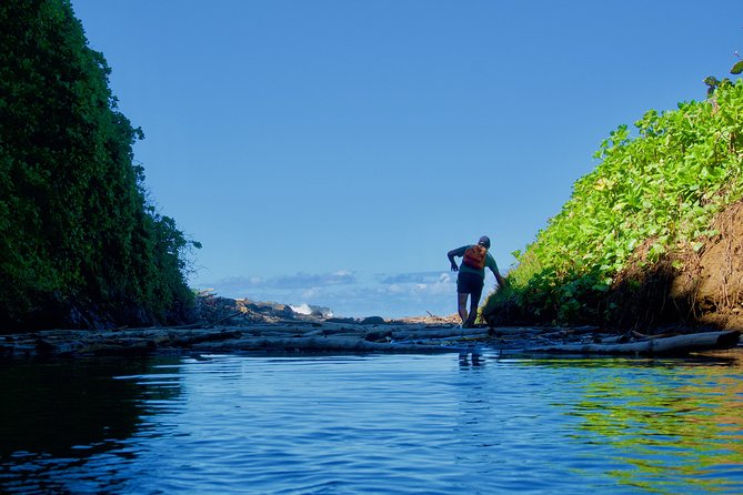 Randonnée - Le Sud Sauvage - Starting at Gris Gris Public beach parking at 8:50 am