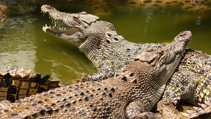 Riambel: South Tour w/ Crocodile Park & Seven Colored Earth - The ocean-view stops: turquoise horizons from the viewpoints