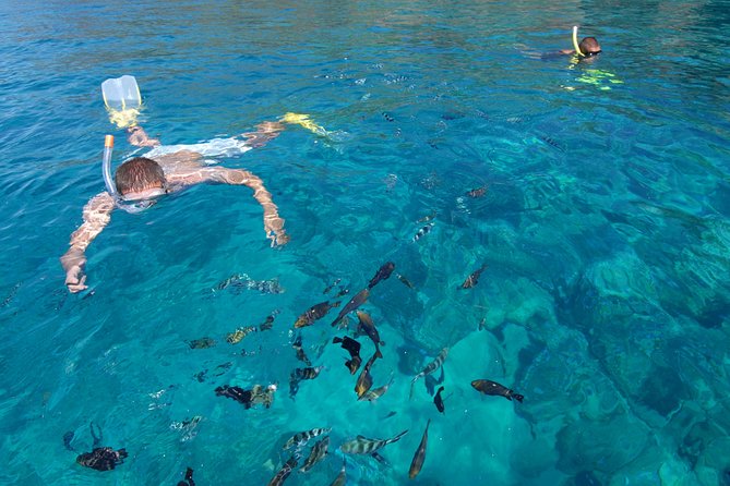 Sailing Catamaran Cruises - Benetier Island, Le Morne Area, and the Beach Break Feel