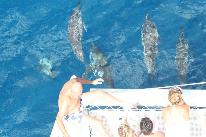 Sailing Catamaran Cruises - West Coast Sailing, Dolphins, and Lagoon Snorkeling Time